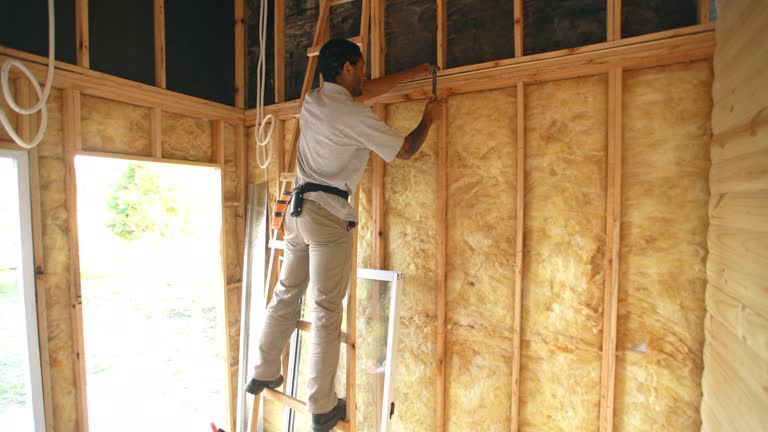 Best Soundproof Insulation  in Eddyville, KY