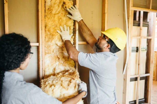 Best Insulation for New Construction  in Eddyville, KY