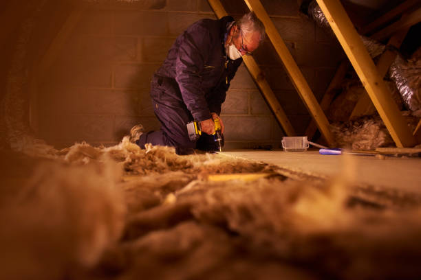 Best Eco-Friendly or Green Insulation Solutions  in Eddyville, KY